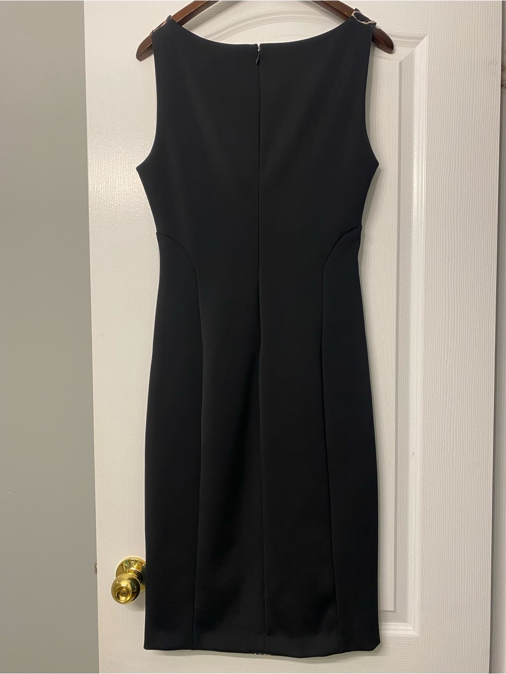 Debbie Shuchat Sleeveless Leopard Print Black Contrast Panel Sheath Dress SZ 12 - Picture 5 of 9
